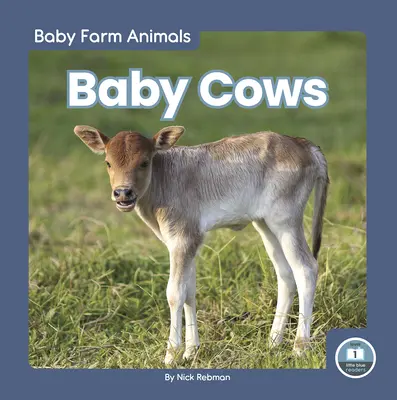 Mláďatá kráv - Baby Cows