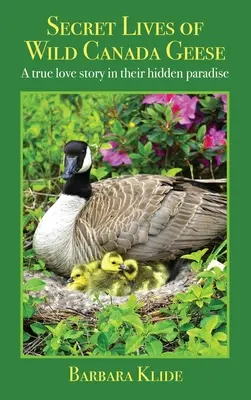 Tajné životy divých kanadských husí: Skutočný príbeh lásky v ich utajenom raji - Secret Lives of Wild Canada Geese: A true love story in their hidden paradise