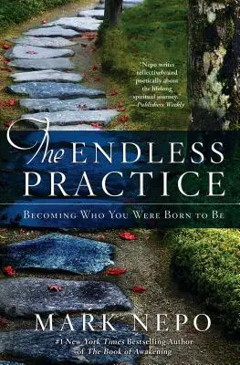 Nekonečná prax: Stať sa tým, kým ste sa narodili, aby ste boli - The Endless Practice: Becoming Who You Were Born to Be