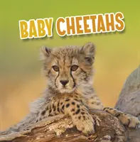Mláďatá gepardov - Baby Cheetahs