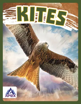 Kane - Kites