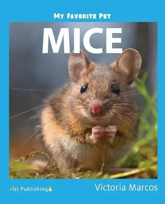 Moje obľúbené zvieratko: Myši - My Favorite Pet: Mice