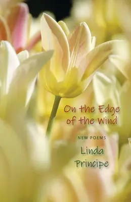 Na okraji vetra - On the Edge of the Wind