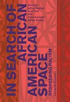 In Search of African American Space (Hľadanie afroamerického priestoru): Redressing Racism - In Search of African American Space: Redressing Racism