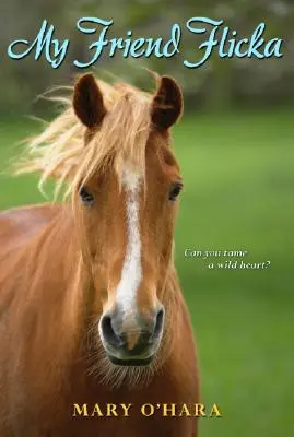 Môj priateľ Flicka - My Friend Flicka