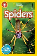 Pavúky - Spiders