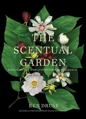 Scénická záhrada: Srdcová záhrada: Skúmanie sveta botanických vôní - The Scentual Garden: Exploring the World of Botanical Fragrance