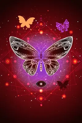 Pekný motýľ - Pretty Butterfly