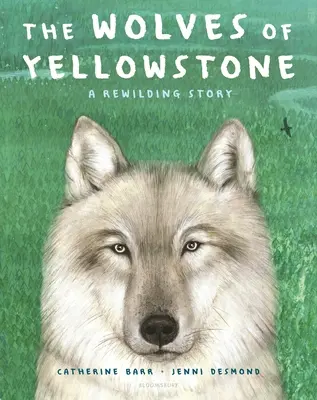 Vlci z Yellowstonu: Príbeh o opätovnom zdivočení - The Wolves of Yellowstone: A Rewilding Story