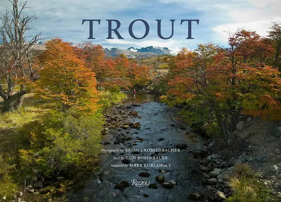 Pstruhy - Trout