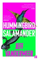 Kolibrík Salamander - Hummingbird Salamander