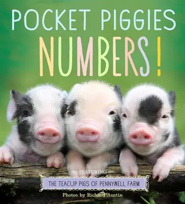 Vreckové prasiatka Čísla!: Vychytávky pre prasiatka z farmy Pennywell - Pocket Piggies Numbers!: Featuring the Teacup Pigs of Pennywell Farm