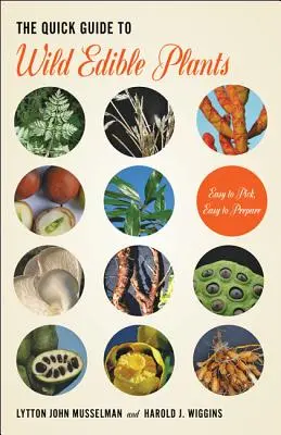Stručný sprievodca divokými jedlými rastlinami - The Quick Guide to Wild Edible Plants