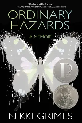 Obyčajné nebezpečenstvá: Memoáre - Ordinary Hazards: A Memoir