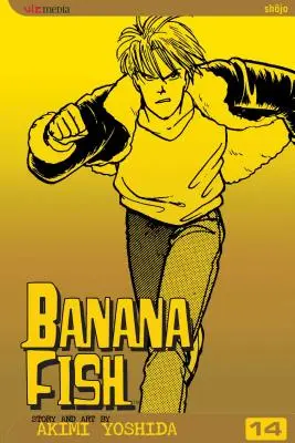 Banánové rybičky, zväzok 14: zväzok 14 - Banana Fish, Vol. 14: Volume 14