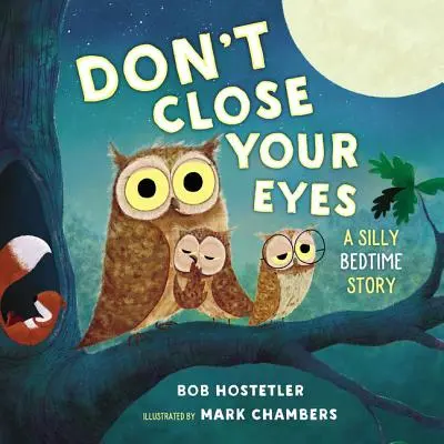 Nezatváraj oči: Hlúpy príbeh na dobrú noc - Don't Close Your Eyes: A Silly Bedtime Story