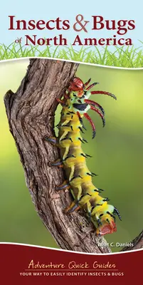 Hmyz a chrobáky Severnej Ameriky: Vaša cesta k jednoduchej identifikácii hmyzu a chrobákov - Insects & Bugs of North America: Your Way to Easily Identify Insects & Bugs