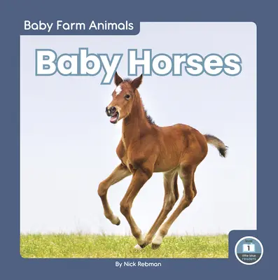 Mláďatá koní - Baby Horses