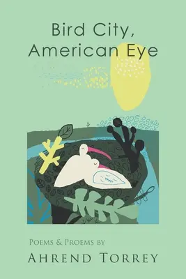 Vtáčie mesto, americké oko - Bird City, American Eye
