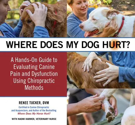 Kde bolí môj pes: nájsť zdroj problémov v správaní alebo bolesti: praktická príručka - Where Does My Dog Hurt: Find the Source of Behavioral Issues or Pain: A Hands-On Guide