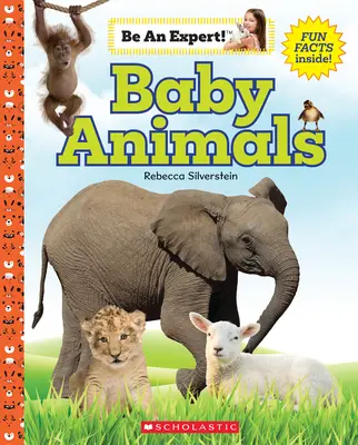 Mláďatá zvierat (Buď odborník!) - Baby Animals (Be an Expert!)