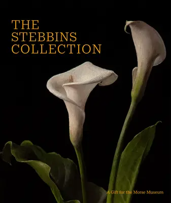 Stebbinsova zbierka: Dar pre Morseovo múzeum - The Stebbins Collection: A Gift for the Morse Museum