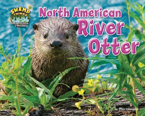 Severoamerická vydra riečna - North American River Otter