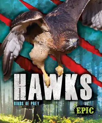 Jastraby: dravé vtáky - Hawks: Birds of Prey
