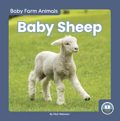 Mláďatá oviec - Baby Sheep