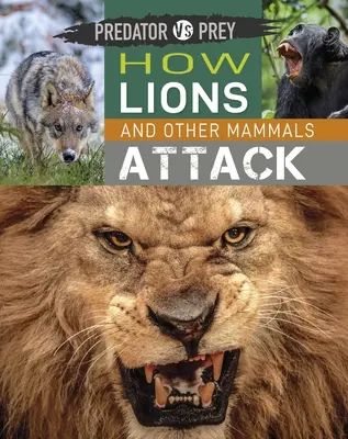 Predátor proti koristi: Ako útočia levy a iné cicavce! - Predator Vs Prey: How Lions and Other Mammals Attack!