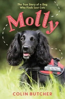 Molly: Pravdivý príbeh psa, ktorý zachraňuje stratené mačky - Molly: The True Story of the Dog Who Rescues Lost Cats
