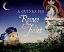 Morča Rómeo a Júlia - Guinea Pig Romeo & Juliet