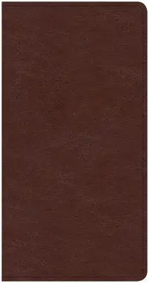 CSB Zdieľať Ježiša bez strachu Nový zákon, čierna koža na dotyk - CSB Share Jesus Without Fear New Testament, Black Leathertouch