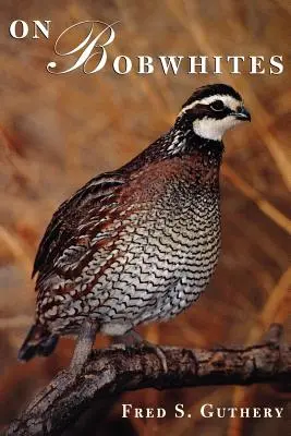 O bobríkoch - On Bobwhites