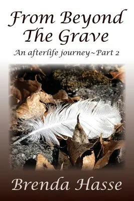 Zo záhrobia: Posmrtná cesta 2. časť - From Beyond The Grave: An afterlife journey Part 2
