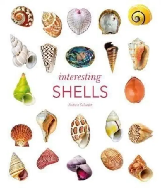 Zaujímavé mušle - Interesting Shells