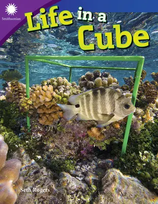 Život v kocke - Life in a Cube
