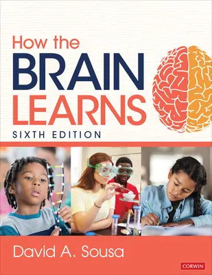 Ako sa mozog učí - How the Brain Learns