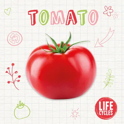 Paradajky - Tomato