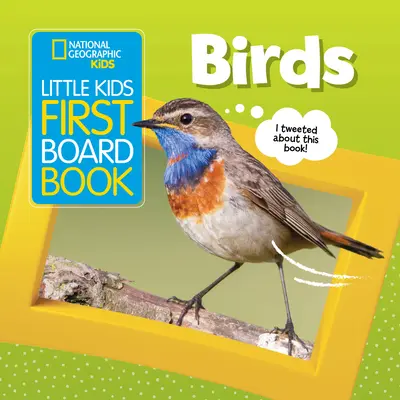 Prvá kniha pre najmenších: Nákladné autá: Vtáky - Little Kids First Board Book: Birds