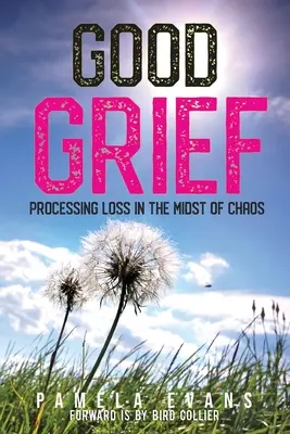 Dobrý žiaľ: Dobrý zármutok - Spracovanie straty uprostred chaosu - Good Grief: Processing Loss in the Midst of Chaos
