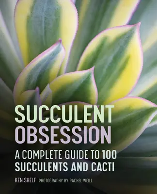Posadnutosť sukulentmi: Kompletný sprievodca - Succulent Obsession: A Complete Guide