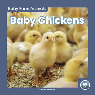 Mláďatá kurčiat - Baby Chickens