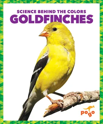Zlatohlávkovia - Goldfinches