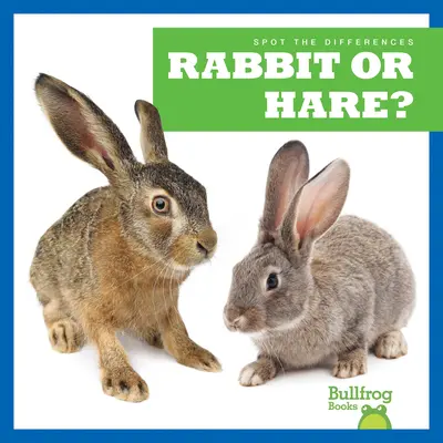Králik alebo zajac? - Rabbit or Hare?