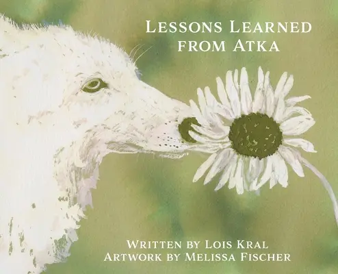 Poučenie z Atky - Lessons Learned from Atka