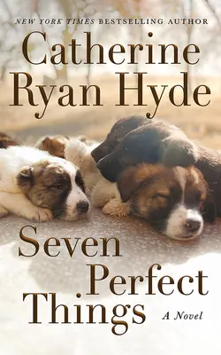Sedem dokonalých vecí - Seven Perfect Things