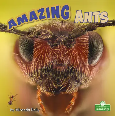 Úžasné mravce - Amazing Ants