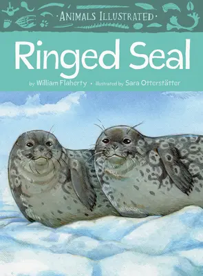 Ilustrované zvieratá: Tuleň krúžkovaný - Animals Illustrated: Ringed Seal