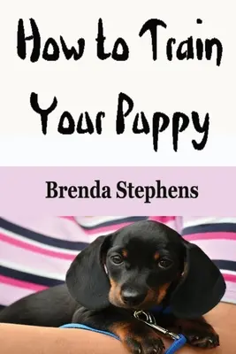 Ako vycvičiť šteňa - How to Train Your Puppy